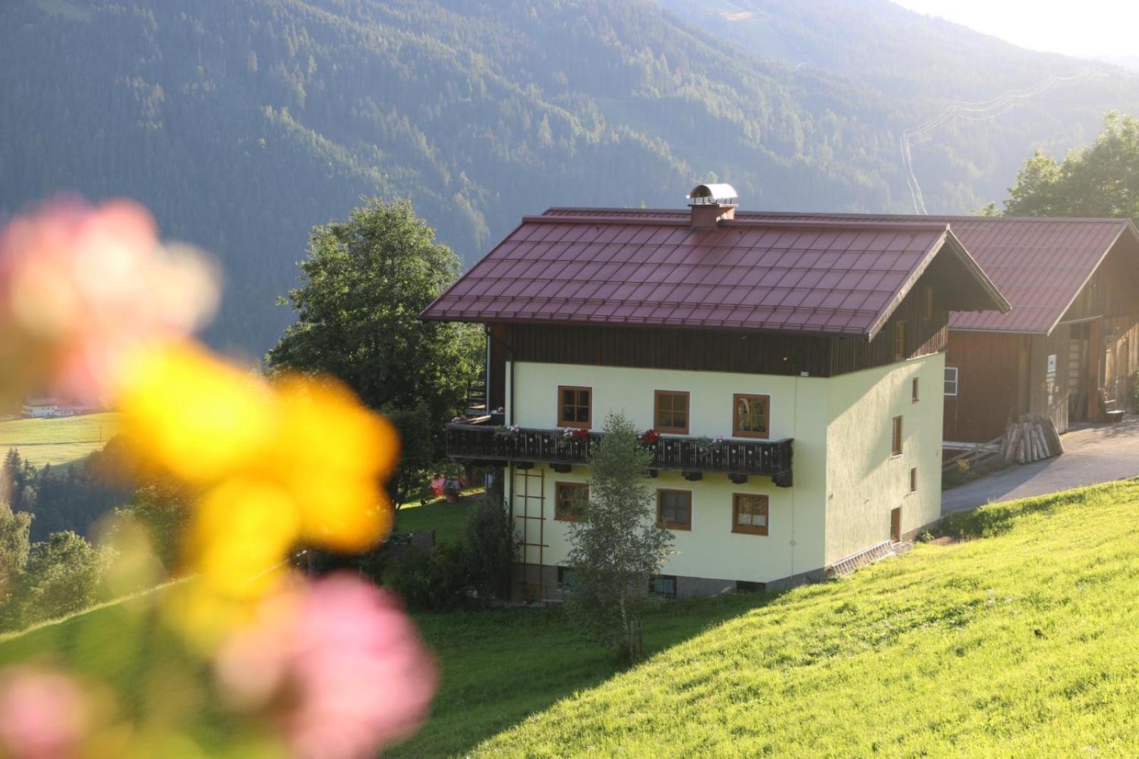 شقة Molteraugut Mühlbach am Hochkönig المظهر الخارجي الصورة