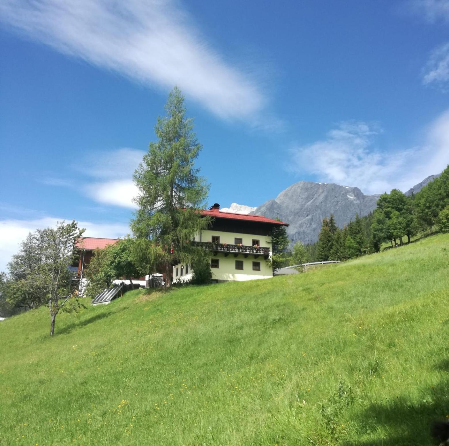 شقة Molteraugut Mühlbach am Hochkönig المظهر الخارجي الصورة